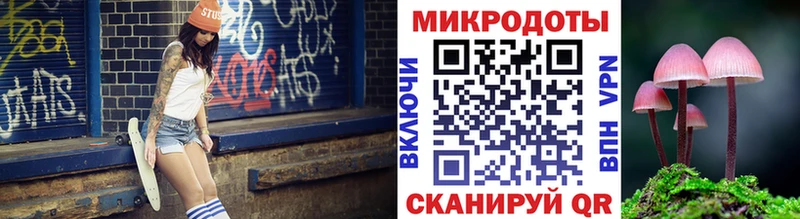 Галлюциногенные грибы Psilocybine cubensis Бугульма