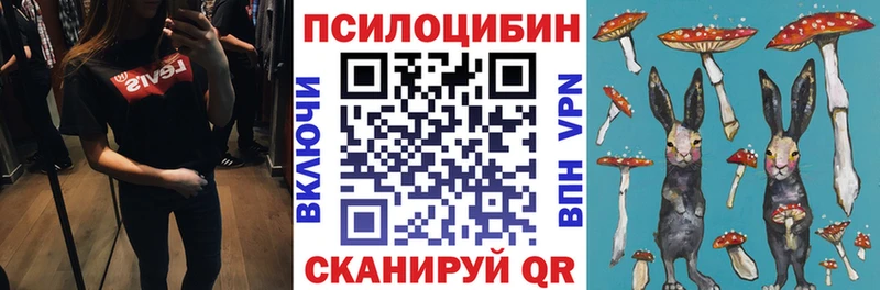 Псилоцибиновые грибы Cubensis  Купить  Бугульма 
